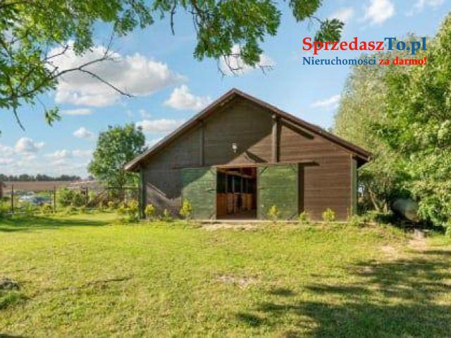 Siedlisko stadnina blisko Gdańska - 19