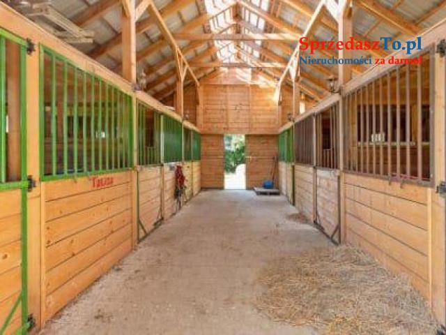 Siedlisko stadnina blisko Gdańska - 20