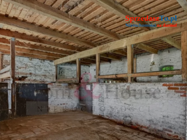 Siedlisko stadnina blisko Gdańska - 22