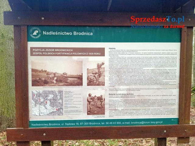 Agroturystyka Całoroczna z pomostem plażą - 20