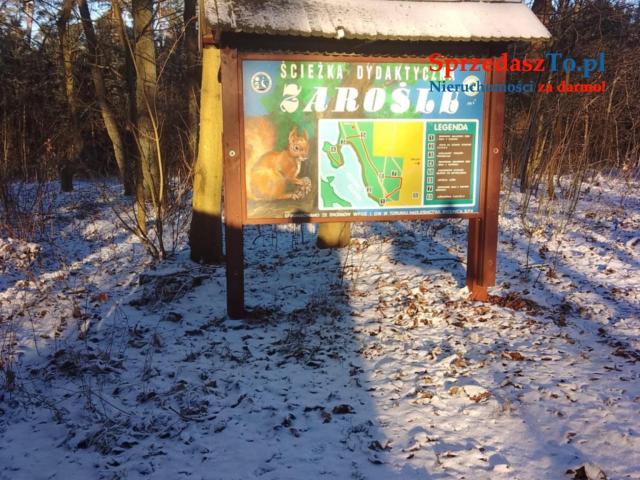 Agroturystyka Całoroczna z pomostem plażą - 22