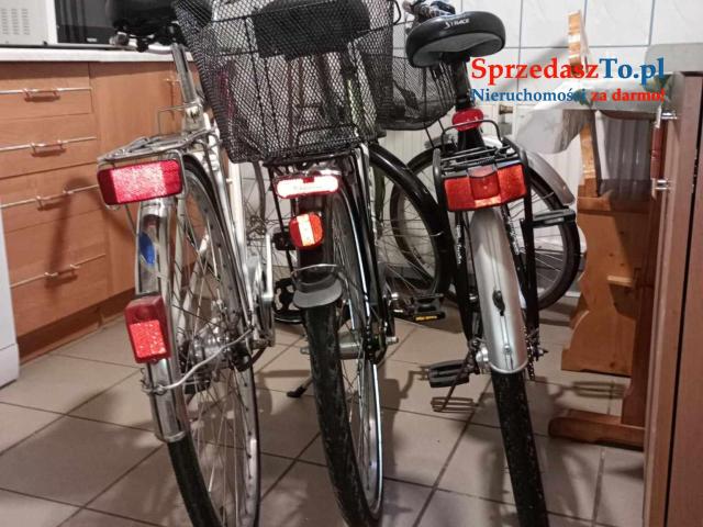 Agroturystyka  z linią brzegową z pomost plaża Pokoje pod sosnami Zbiczno - 9