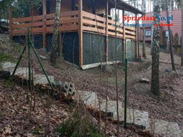 Agroturystyka  z linią brzegową z pomost plaża Pokoje pod sosnami Zbiczno - 10