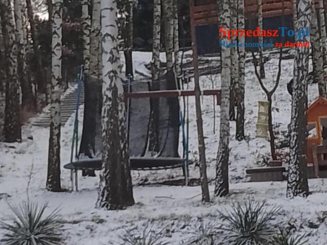 Agroturystyka  z linią brzegową z pomost plaża Pokoje pod sosnami Zbiczno - 14