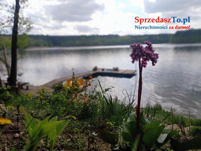 Agroturystyka  z linią brzegową z pomost plaża Pokoje pod sosnami Zbiczno - 21