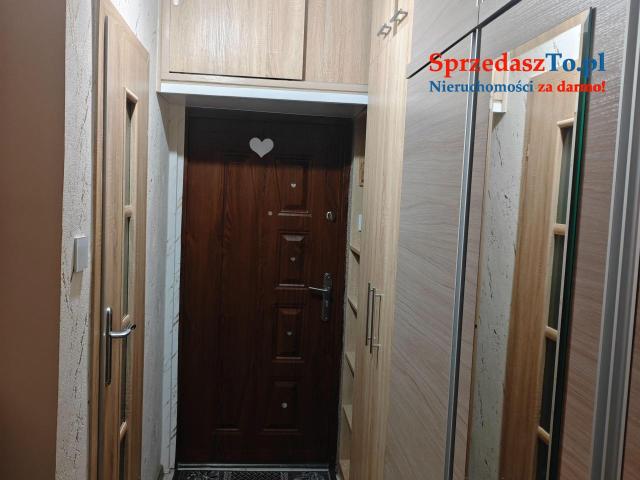 Kawalerka w parku - 6