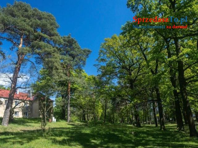 Kawalerka w parku - 7