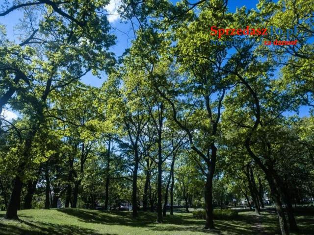 Kawalerka w parku - 8