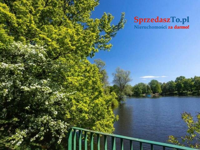 Kawalerka w parku - 9