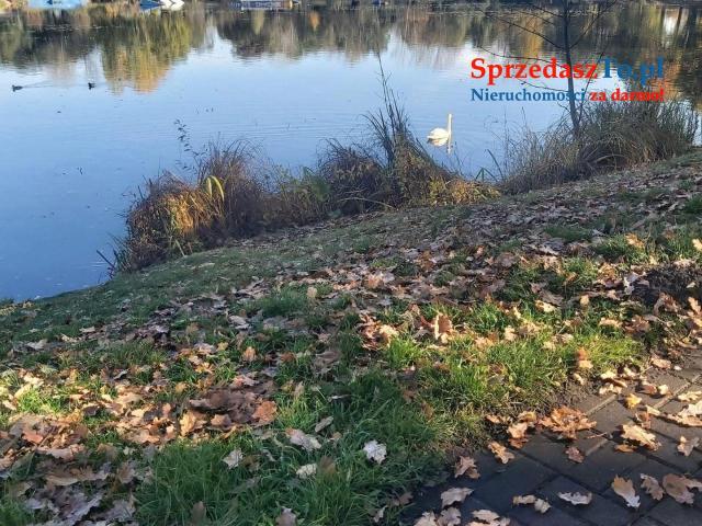 Kawalerka w parku - 10