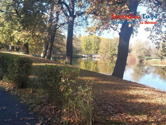 Kawalerka w parku - 11