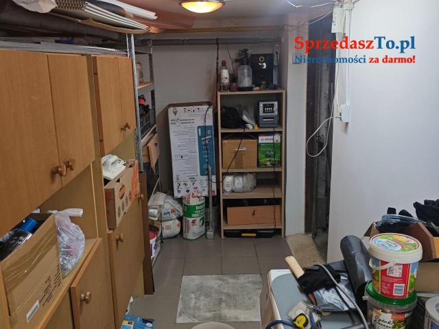 Kawalerka w parku - 12