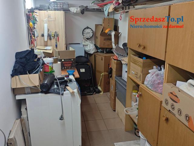 Kawalerka w parku - 13