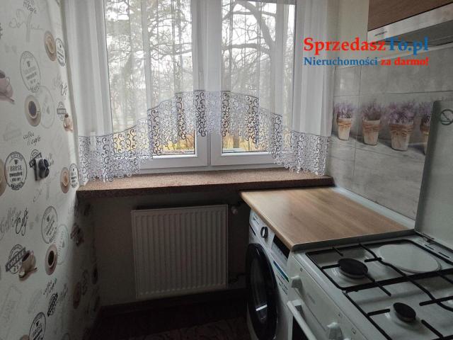 Kawalerka w parku - 14