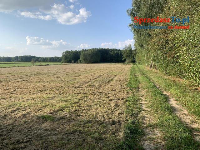 Działka budowlana - 6