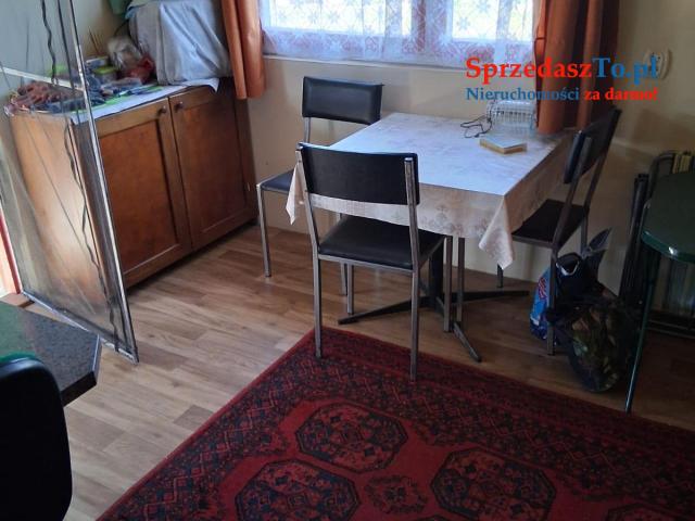 Ogródek działkowy - 7