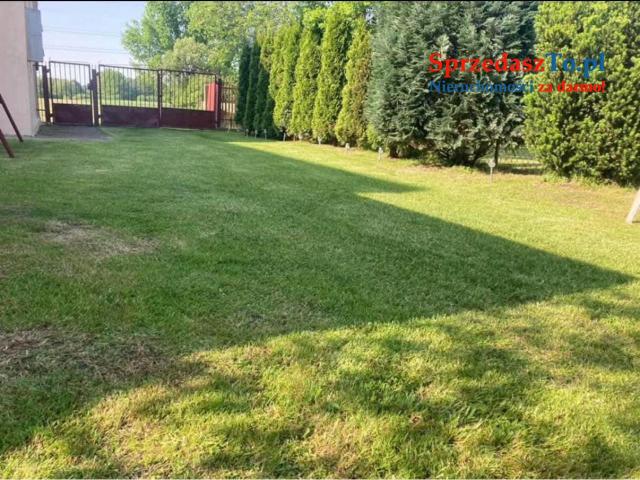 Duża działka na sprzedaż - 9