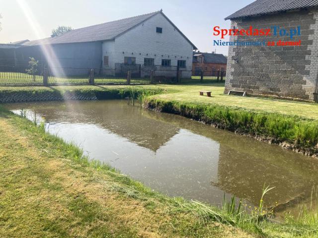 Duża działka na sprzedaż - 13