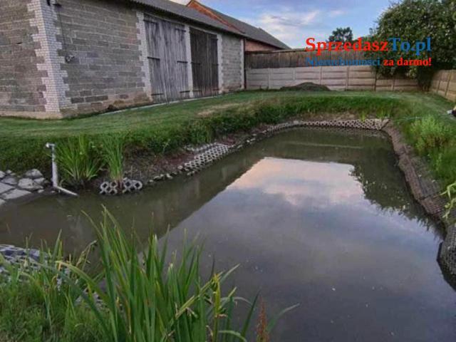 Duża działka na sprzedaż - 15