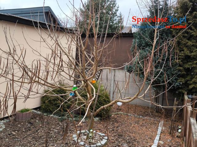 Sprzedam dwa domy - 20