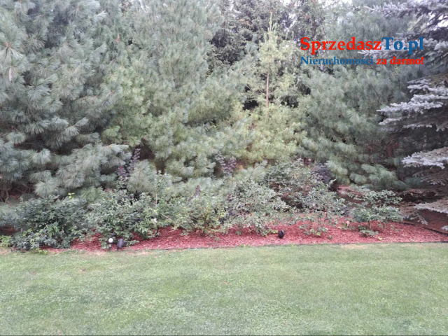 Oferuje na sprzedaż wyjątkowy dom letniskowy - 7