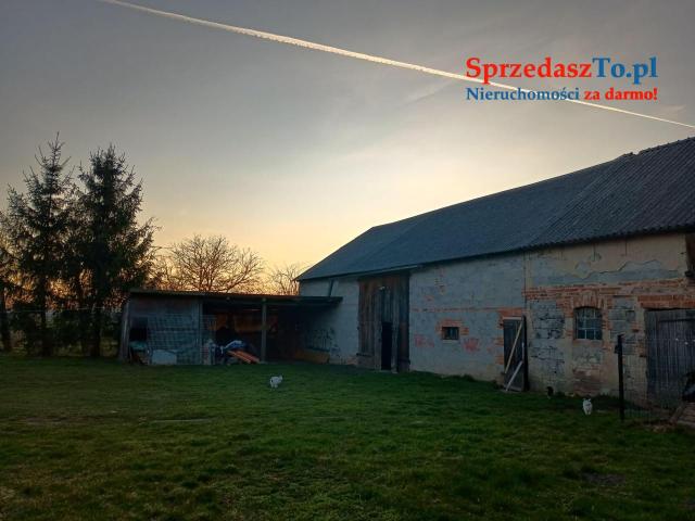 Dom z działką i budynkami gospodarczymi - 6