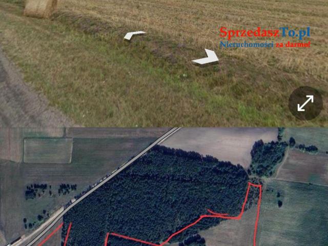 Na sprzedaż – 15 ha ziemi rolnej