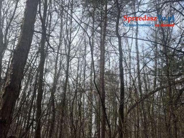 Dzialka 1443 m2 pod MPZP Radość