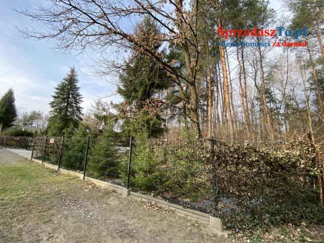 Przepiękna działka z domkiem Radom - 6