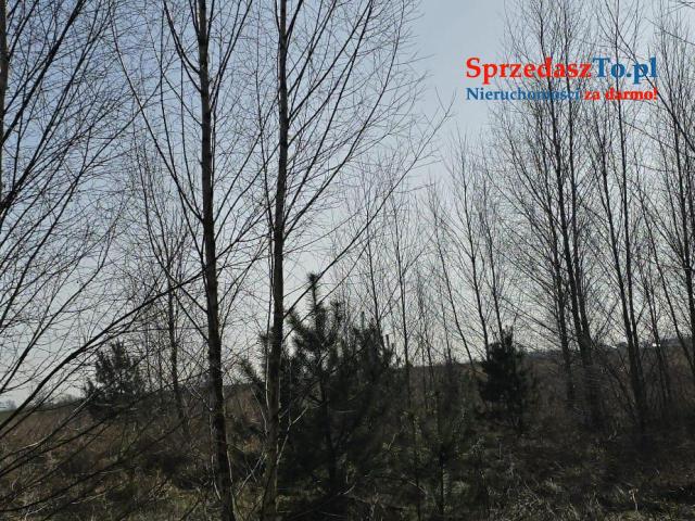 Działka Janczewo - 6
