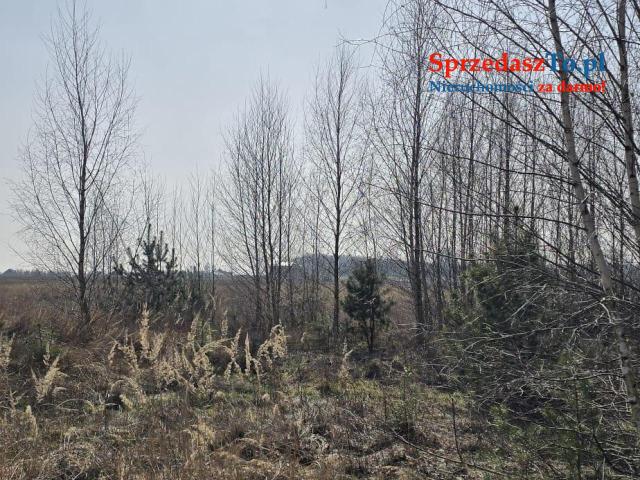 Działka Janczewo - 7