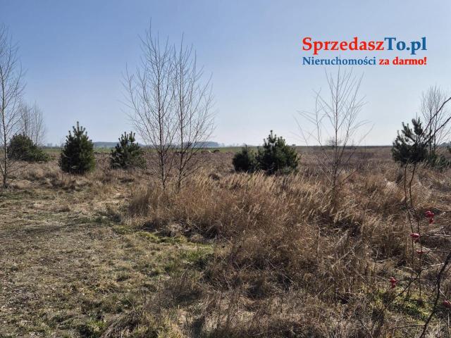 Działka Janczewo - 11