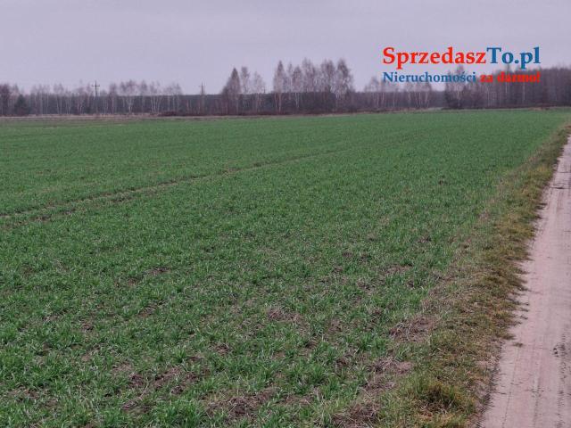 Działka budowlana Wrzeczko