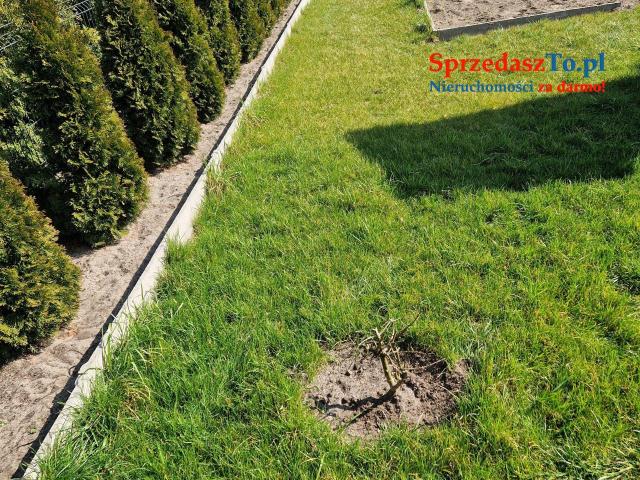 Działka zagospodarowana - 6